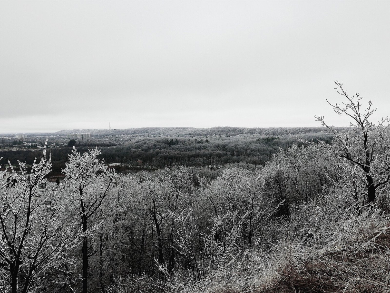 View over the Niagara Escarpment after an ice storm